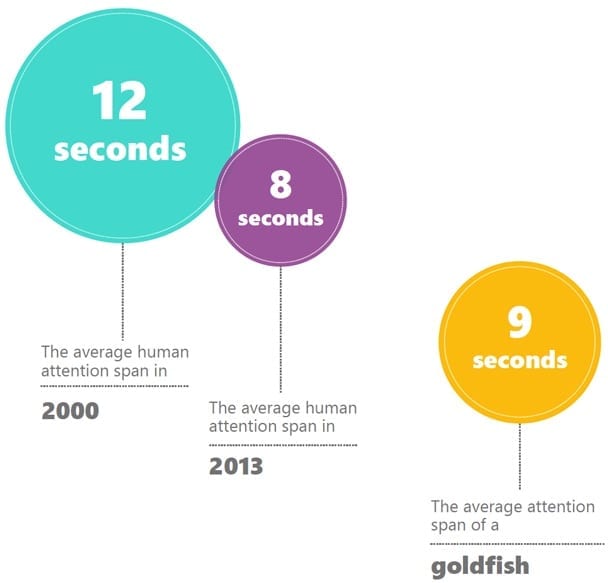 avg human attention span